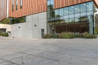 a big glass office building with a tree in front of it on the side of a cement sidewalk