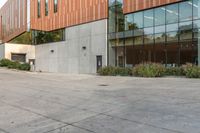 a big glass office building with a tree in front of it on the side of a cement sidewalk