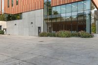 a big glass office building with a tree in front of it on the side of a cement sidewalk