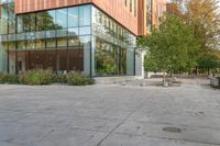 a big glass office building with a tree in front of it on the side of a cement sidewalk