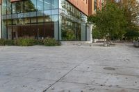 a big glass office building with a tree in front of it on the side of a cement sidewalk