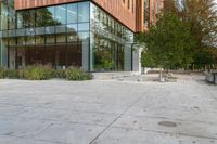 a big glass office building with a tree in front of it on the side of a cement sidewalk