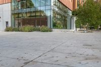 a big glass office building with a tree in front of it on the side of a cement sidewalk