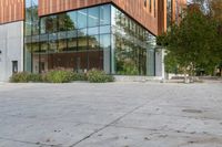 a big glass office building with a tree in front of it on the side of a cement sidewalk