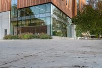 a big glass office building with a tree in front of it on the side of a cement sidewalk