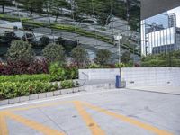 Residential Area Walkway Surrounded by Vegetation