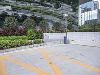 Residential Area Walkway Surrounded by Vegetation