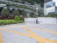 Residential Area Walkway Surrounded by Vegetation