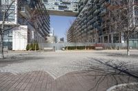 Residential Area: Waterfront Views in Ontario, Canada