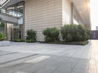 a couple of bushes sitting in the middle of a cement sidewalk next to a tall building