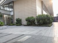 a couple of bushes sitting in the middle of a cement sidewalk next to a tall building