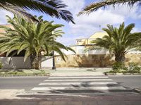 there are two palm trees near the building and crosswalks on this street where two people are waiting