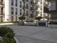 an empty courtyard in front of buildings and some bushes on the ground with some trees in the middle