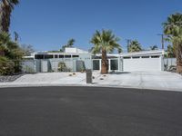 A Residential Building Surrounded by Palm Trees and Clear Skies