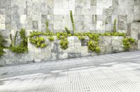 the fence is covered in plants and cacti on a wall next to an outside bench