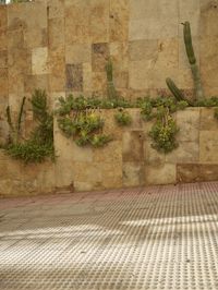 the fence is covered in plants and cacti on a wall next to an outside bench