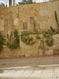 the fence is covered in plants and cacti on a wall next to an outside bench