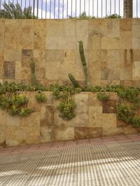 the fence is covered in plants and cacti on a wall next to an outside bench