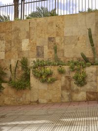 the fence is covered in plants and cacti on a wall next to an outside bench