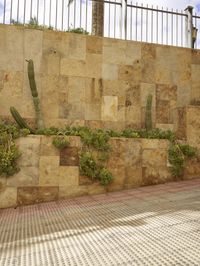 the fence is covered in plants and cacti on a wall next to an outside bench