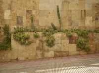 the fence is covered in plants and cacti on a wall next to an outside bench