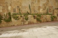 the fence is covered in plants and cacti on a wall next to an outside bench