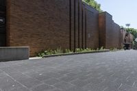 Residential Building in Toronto: Green Grass and Paver Pathways