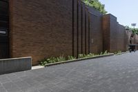 Residential Building in Toronto: Green Grass and Paver Pathways