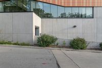 a fire hydrant sits at the corner of a sidewalk with a building in the background