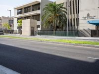 the view down a street to an office building with palm trees and a road sign in front