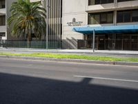 the view down a street to an office building with palm trees and a road sign in front