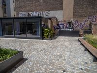 several plants sit in decorative concrete planters along the sidewalk of a building that is very modern