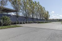 Residential Area in Toronto on a Clear Day