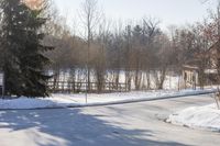 Nature Surrounding a Residential Home in Ontario