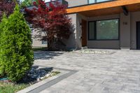 Residential Home with Tree in Toronto, Ontario, Canada