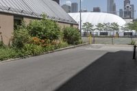 Residential Homes in Toronto: Tree-Lined Streets and Classic Architecture