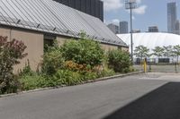 Residential Homes in Toronto: Tree-Lined Streets and Classic Architecture