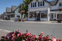Residential Homes in the Suburb: Trees and Flowers Galore