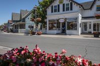 Residential Homes in the Suburb: Trees and Flowers Galore