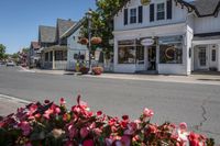 Residential Homes in the Suburb: Trees and Flowers Galore
