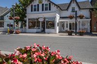 Residential Homes in the Suburb: Trees and Flowers Galore