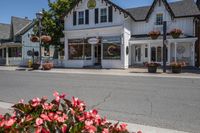 Residential Homes in the Suburb: Trees and Flowers Galore