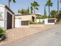 a house that has palm trees outside of it and a driveway to the garage area