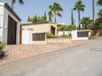 a house that has palm trees outside of it and a driveway to the garage area