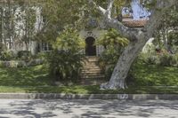 Residential Area in Los Angeles, California