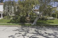 Residential Area in Los Angeles, California