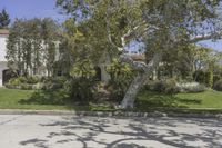 Residential Area in Los Angeles, California