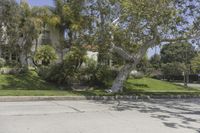 Residential Area in Los Angeles, California