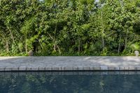 Residential Landscape in Mexico: Grass and Trees