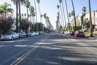 Residential Lane in California: A Suburban Scene